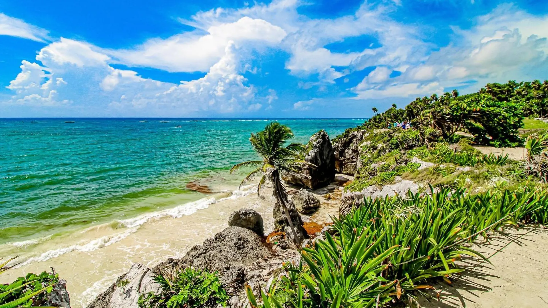 Hotel Alika At Gardens Tulum México